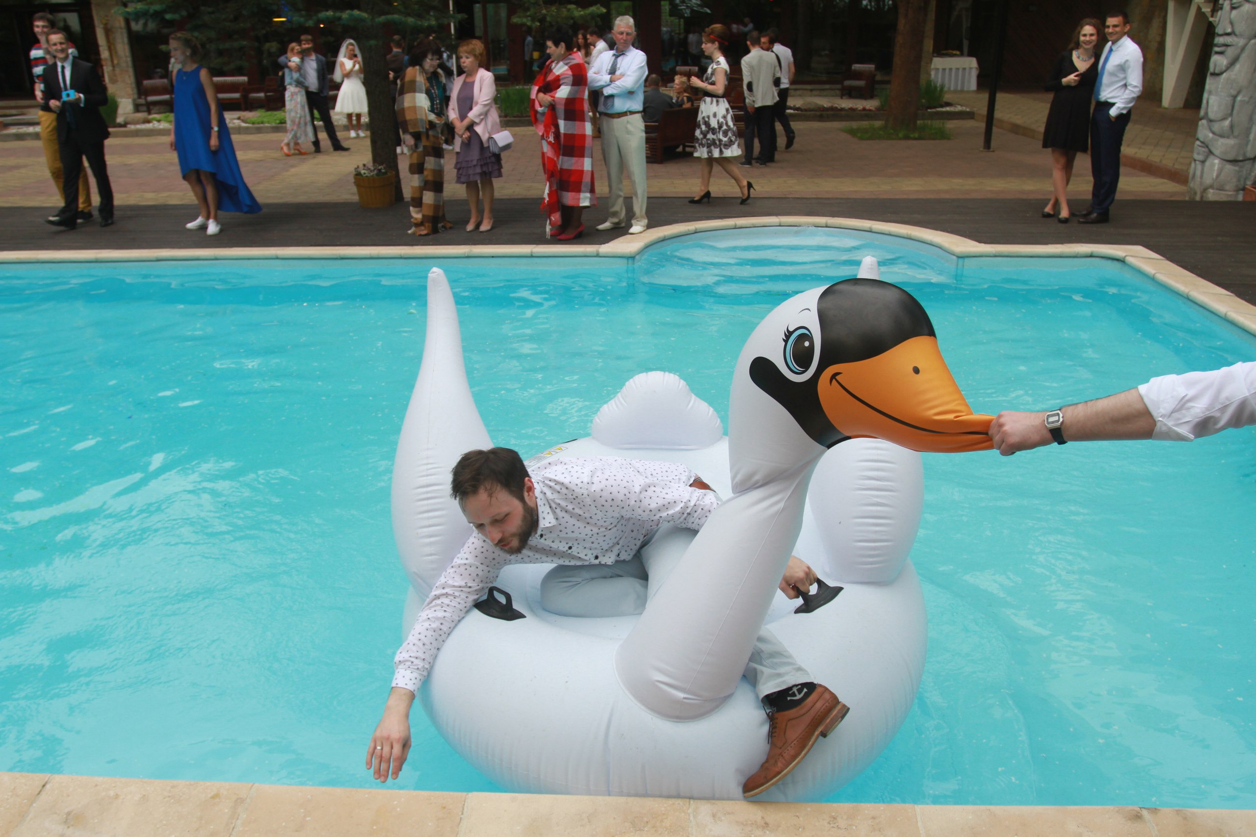 Один из гостей решил прокатиться на лебеде